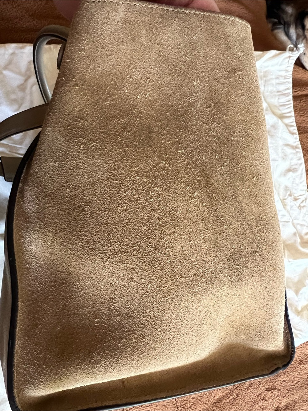 Celine $2950 nude medium trapeze tote - Picture 5 of 14